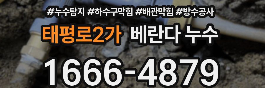 태평로2가 베란다 누수