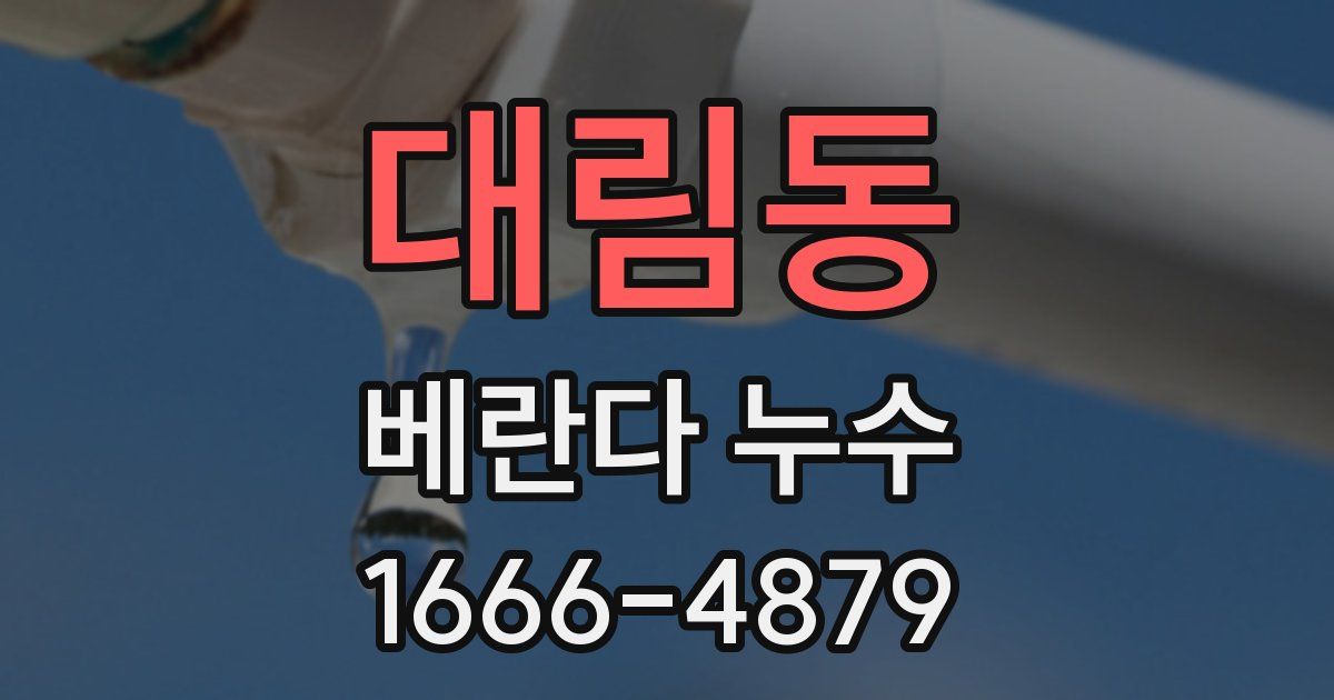 대림동 베란다 누수