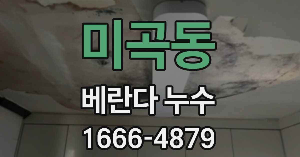 미곡동 베란다 누수