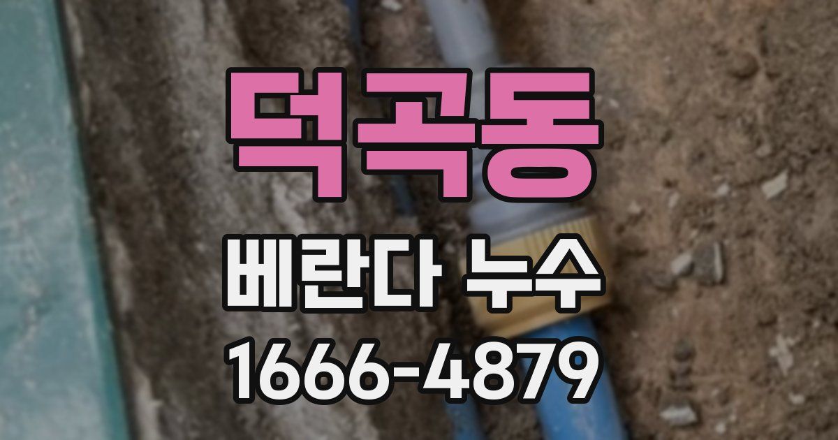 덕곡동 베란다 누수
