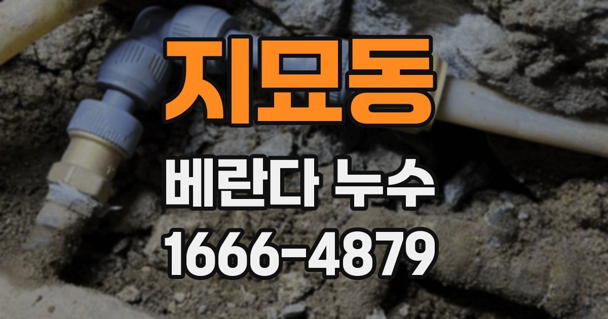 지묘동 베란다 누수