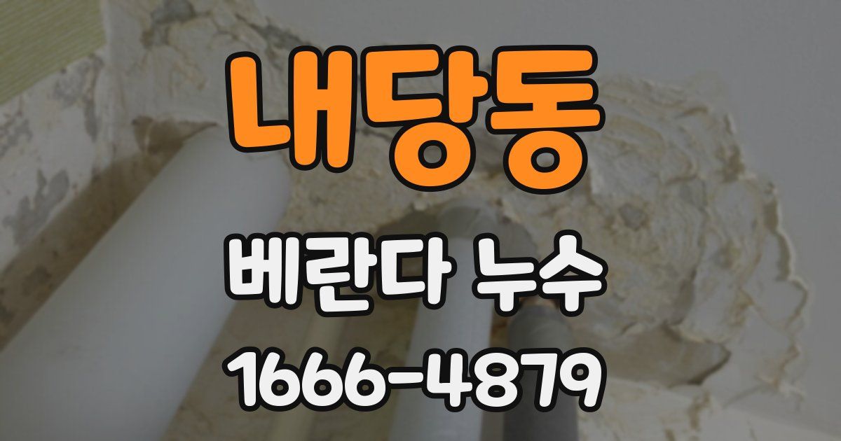 내당동 베란다 누수
