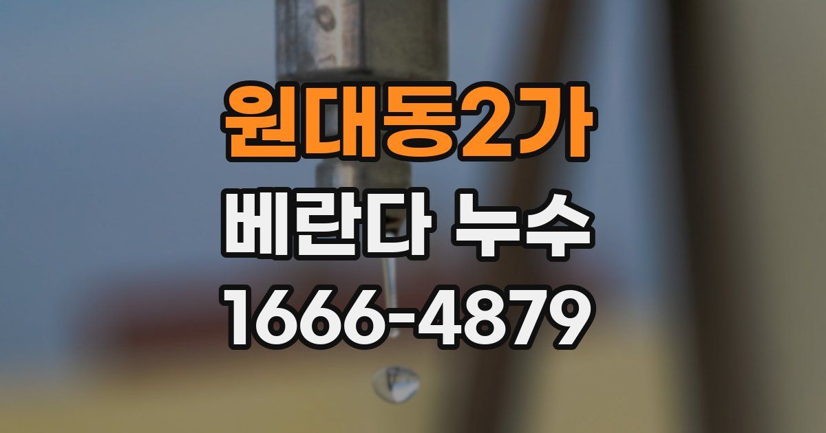 원대동2가 베란다 누수