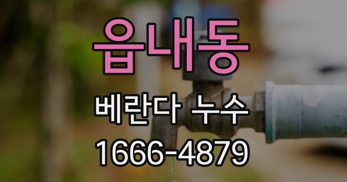 읍내동 베란다 누수