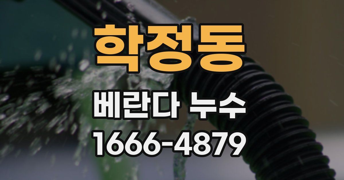 학정동 베란다 누수