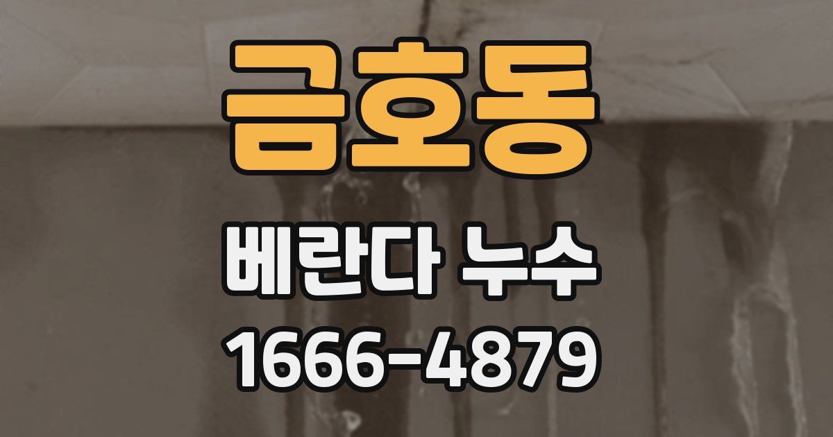 금호동 베란다 누수