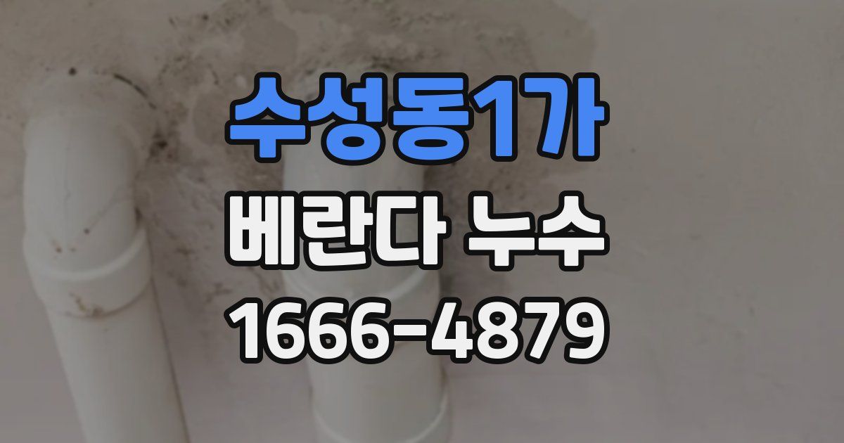 수성동1가 베란다 누수