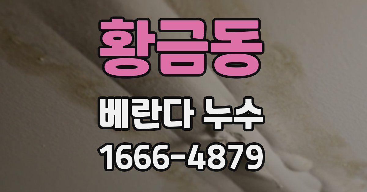 황금동 베란다 누수