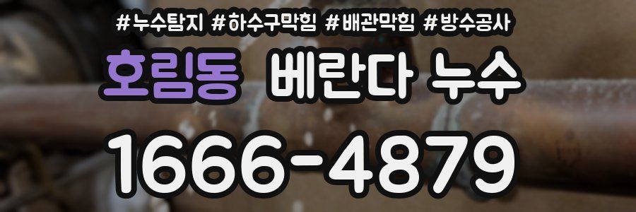 호림동 베란다 누수