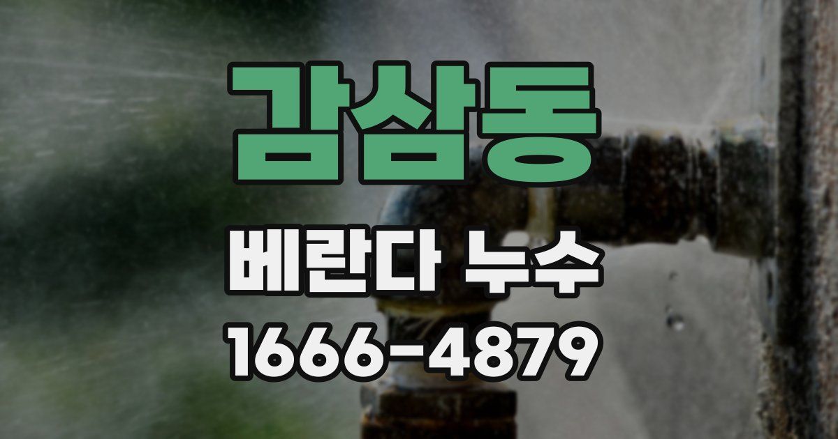 감삼동 베란다 누수