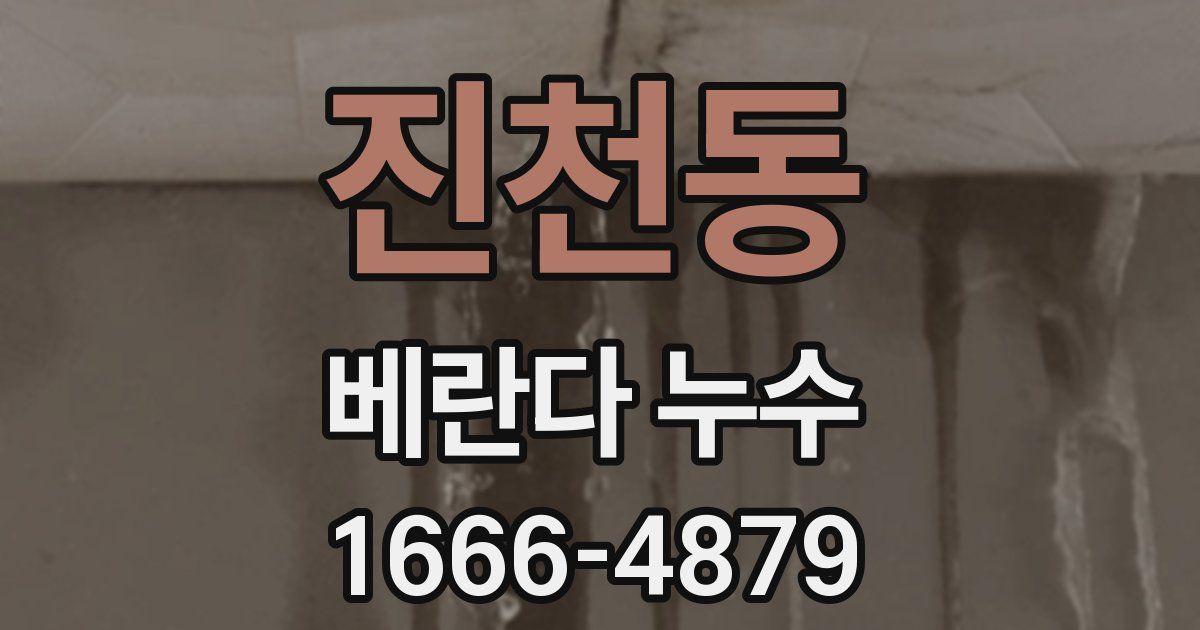 진천동 베란다 누수