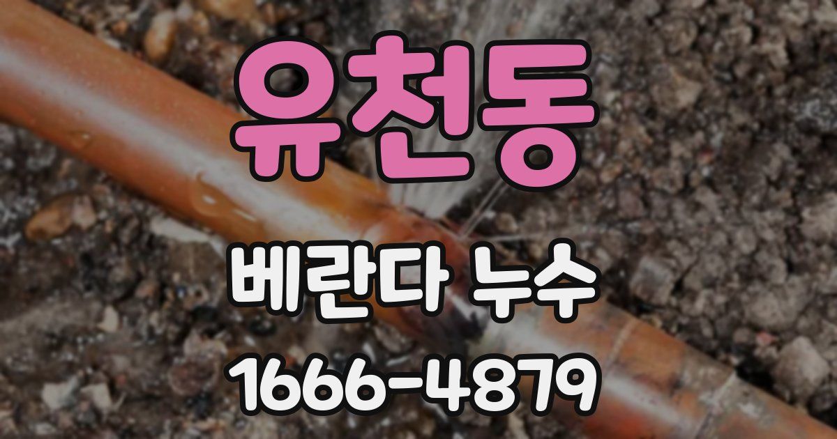 유천동 베란다 누수