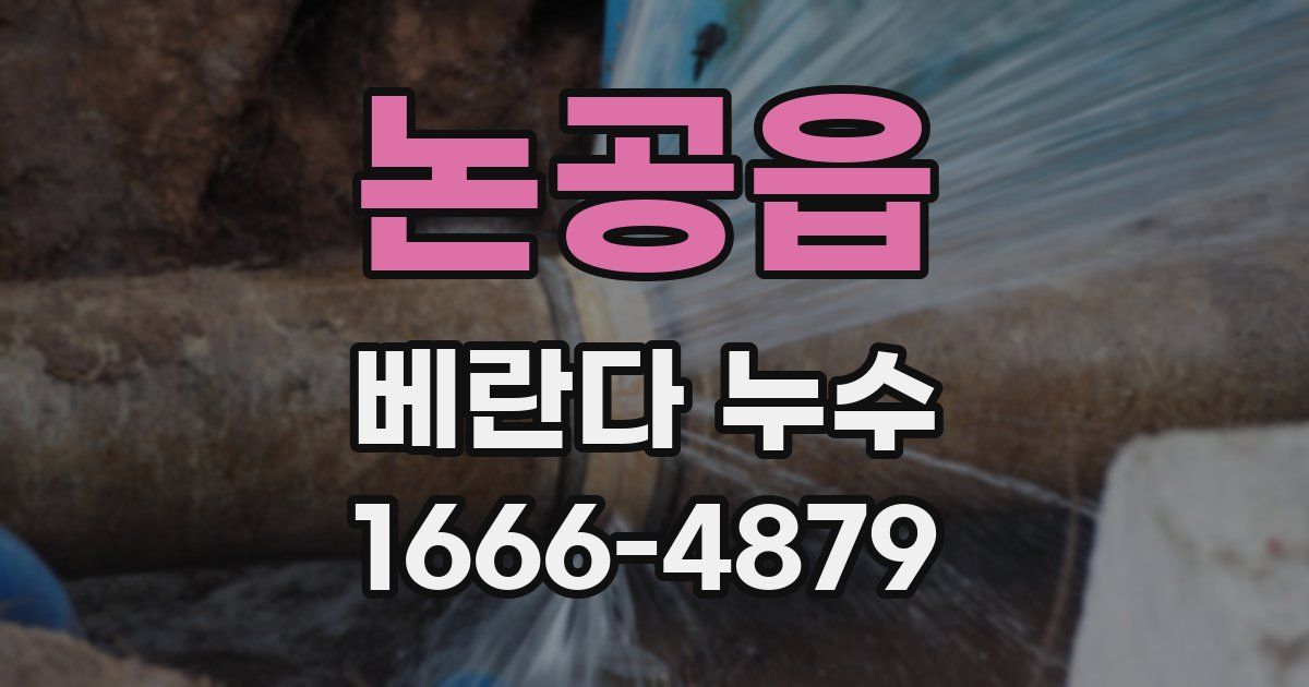 논공읍 베란다 누수