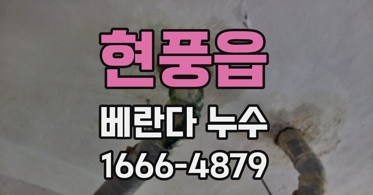 현풍읍 베란다 누수