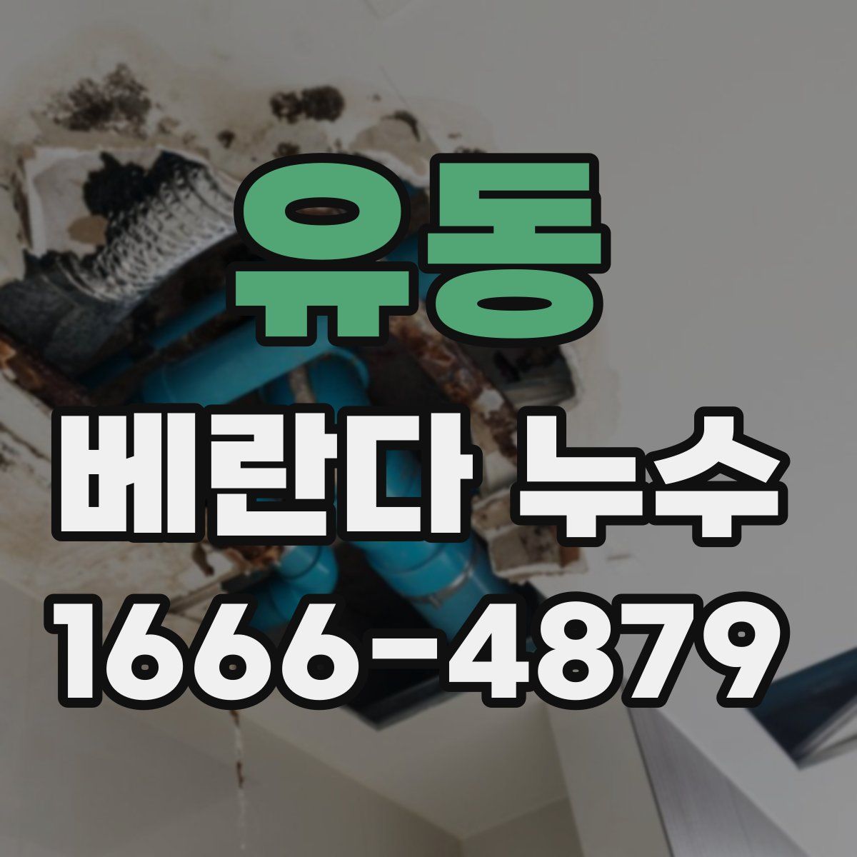 유동 베란다 누수