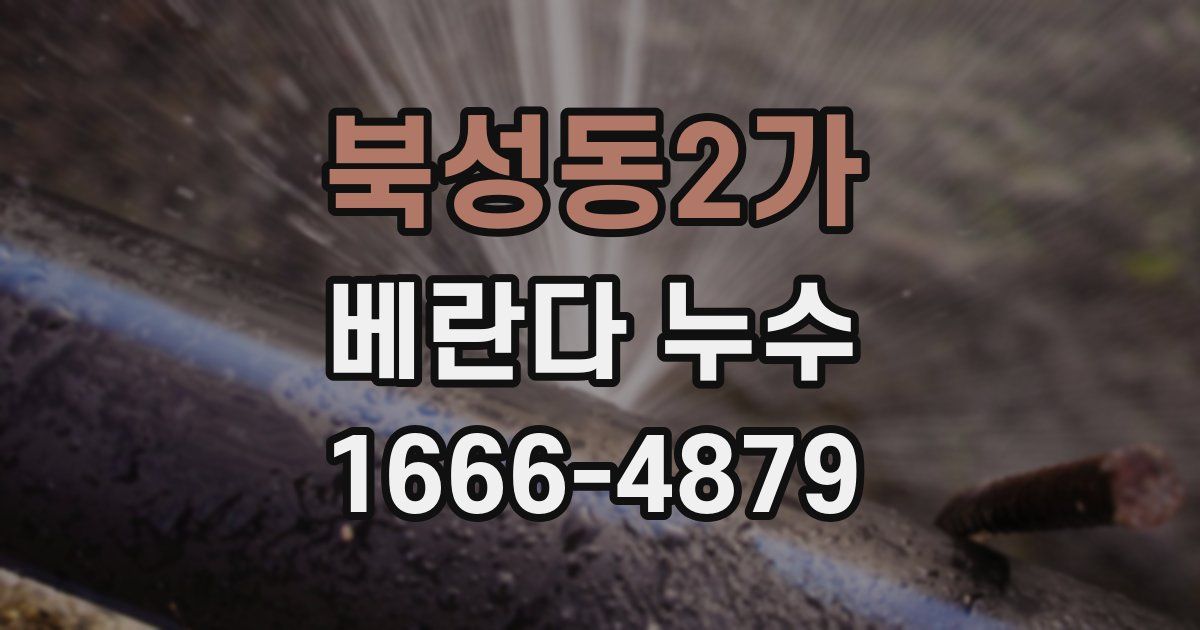 북성동2가 베란다 누수