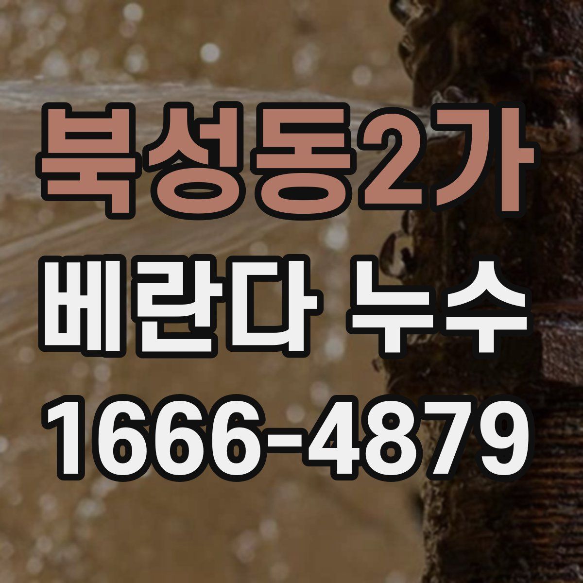 북성동2가 베란다 누수