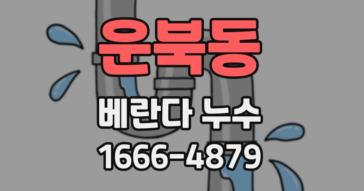 운북동 베란다 누수