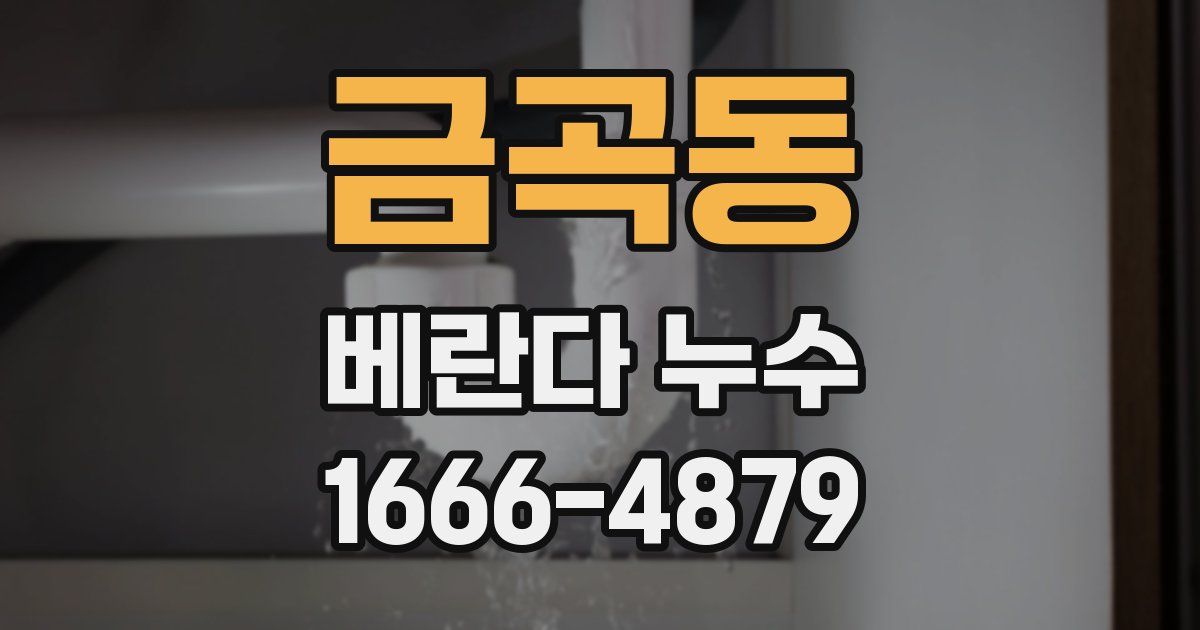 금곡동 베란다 누수