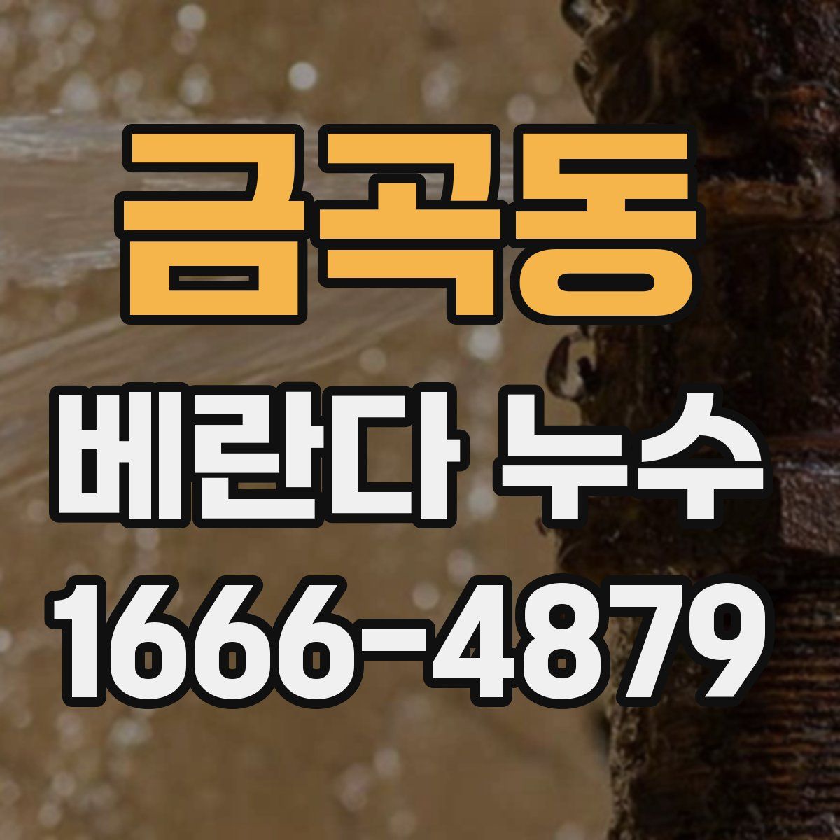 금곡동 베란다 누수