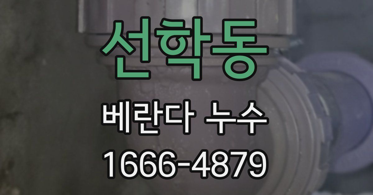선학동 베란다 누수
