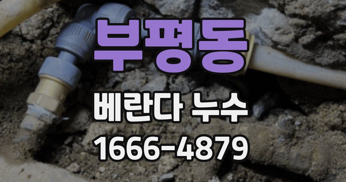 부평동 베란다 누수