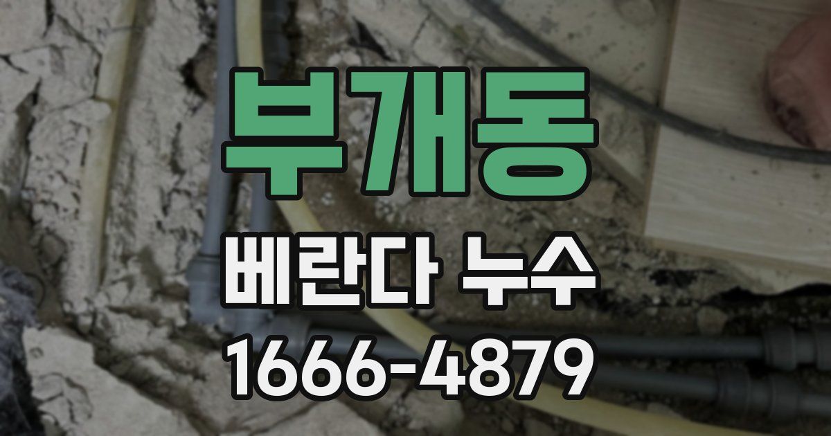 부개동 베란다 누수
