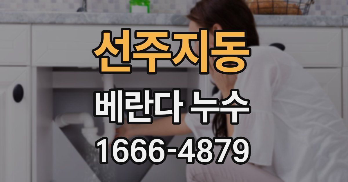 선주지동 베란다 누수