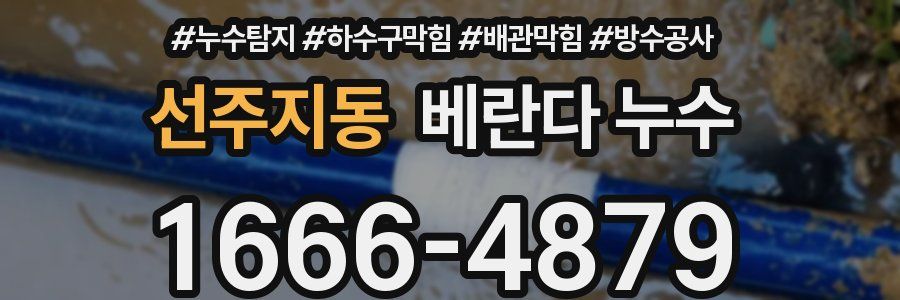선주지동 베란다 누수