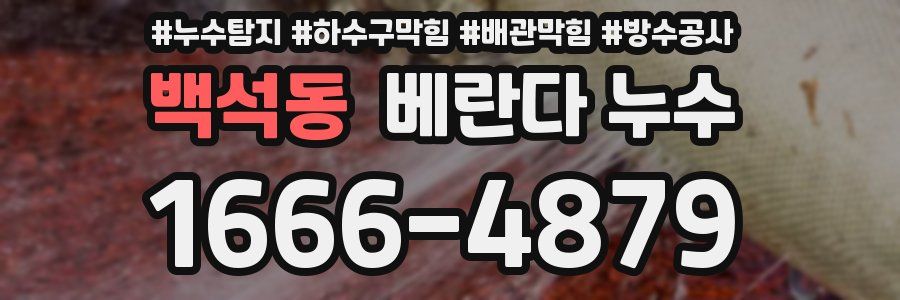 백석동 베란다 누수