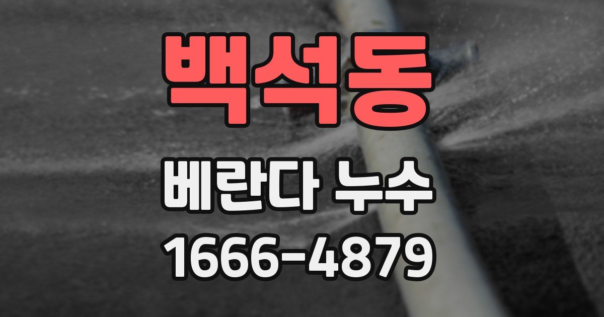 백석동 베란다 누수