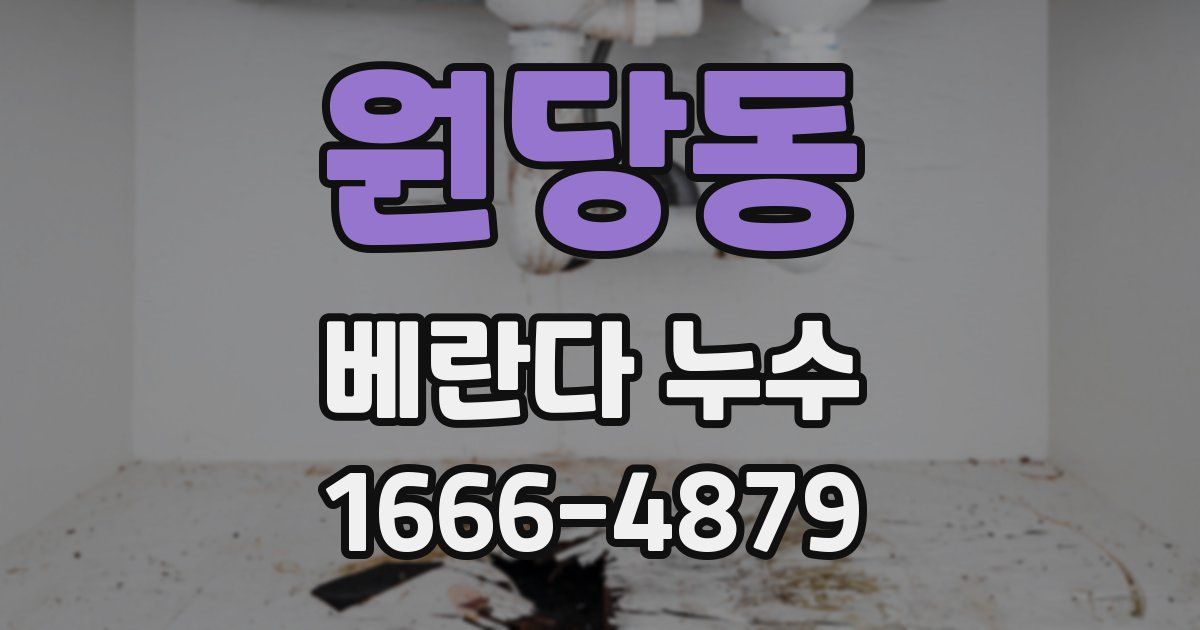 원당동 베란다 누수