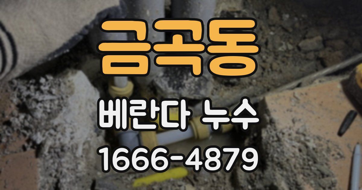 금곡동 베란다 누수