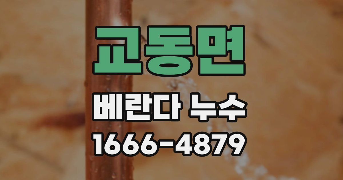 교동면 베란다 누수