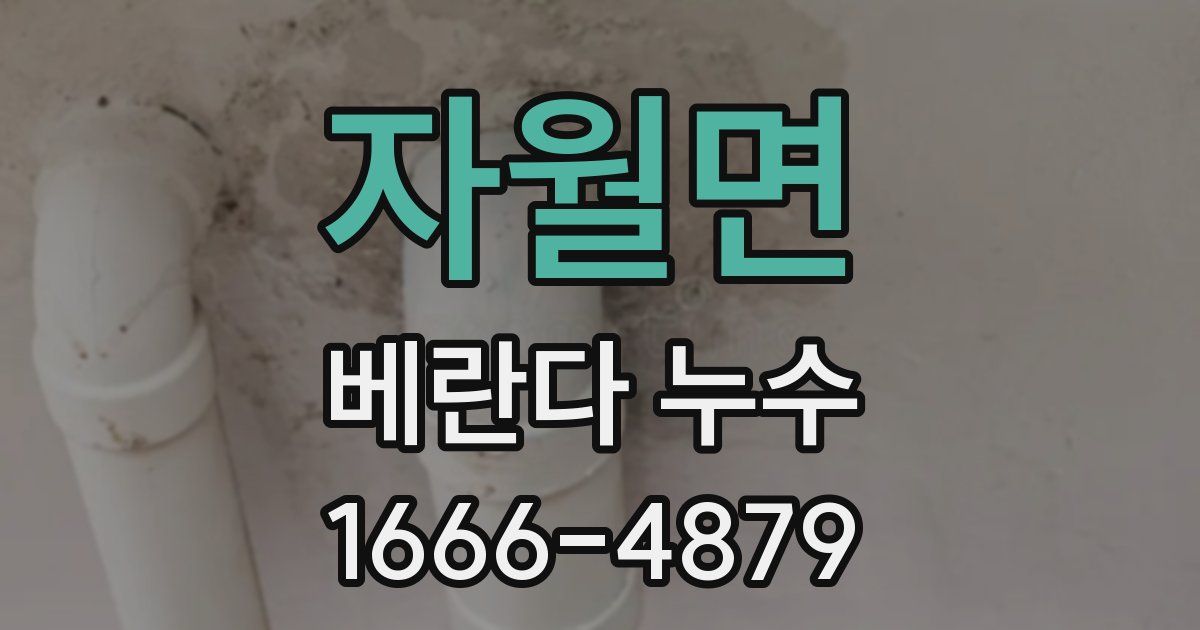 자월면 베란다 누수
