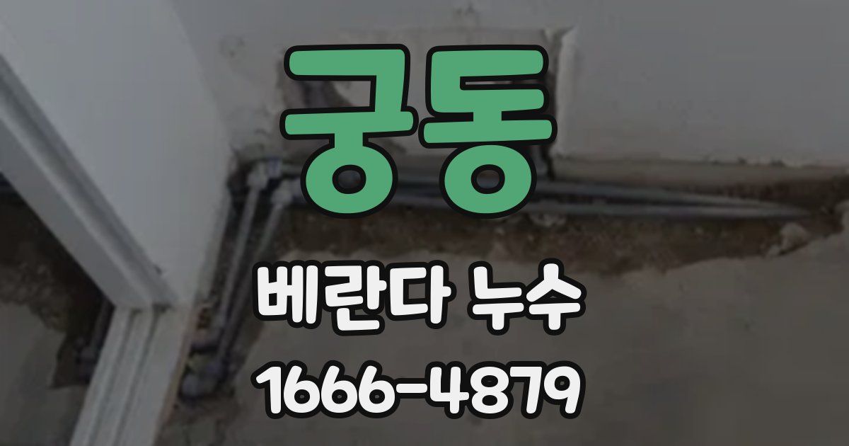 궁동 베란다 누수