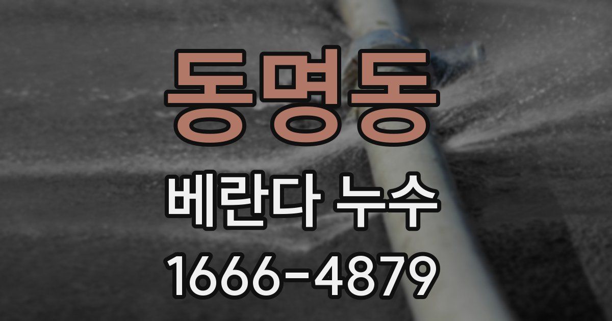 동명동 베란다 누수