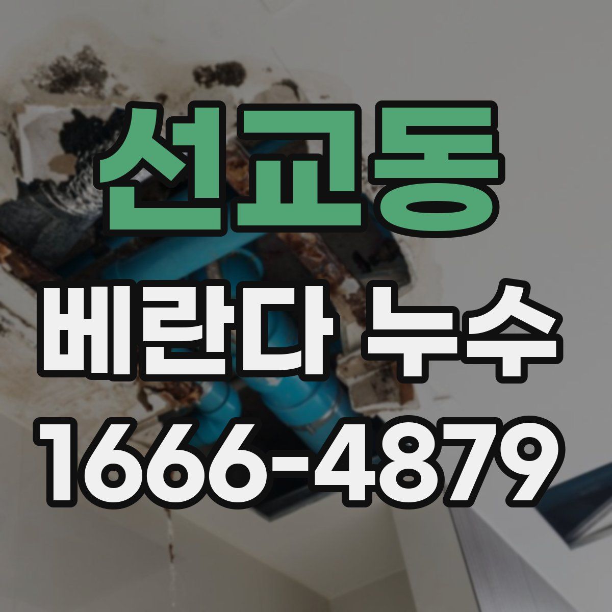 선교동 베란다 누수