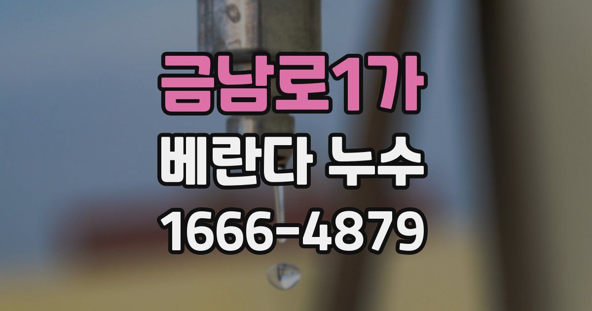 금남로1가 베란다 누수
