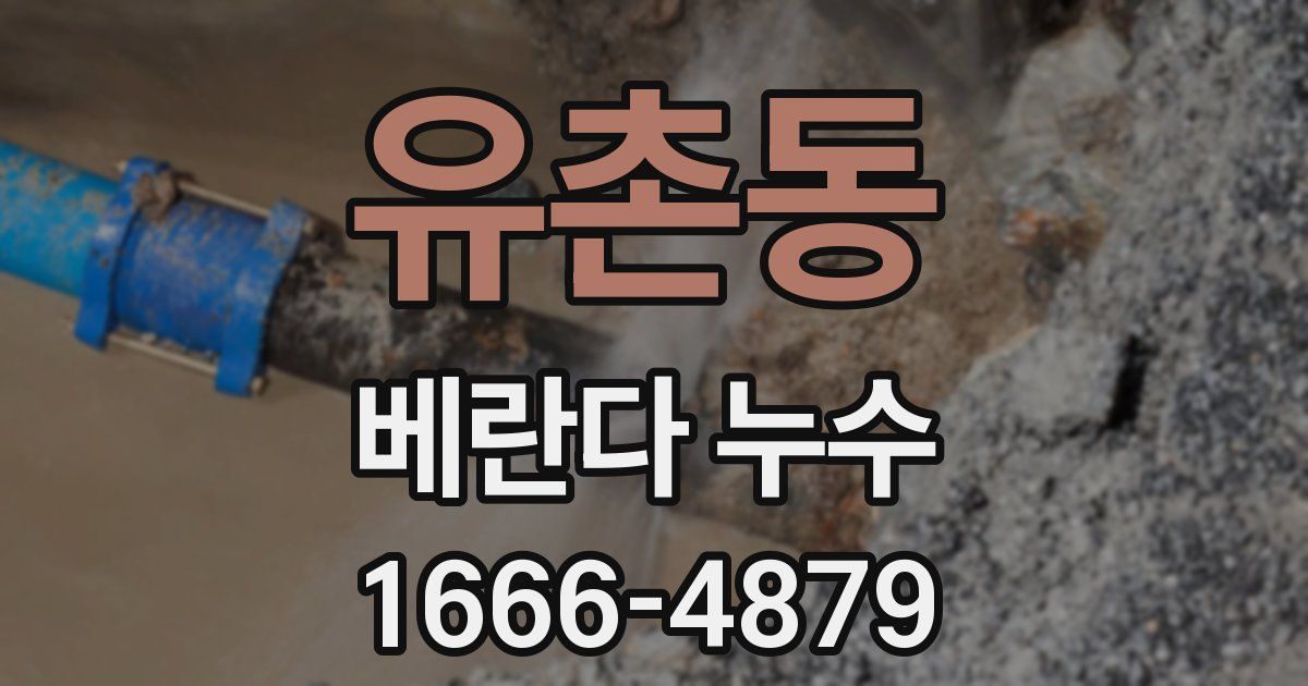 유촌동 베란다 누수