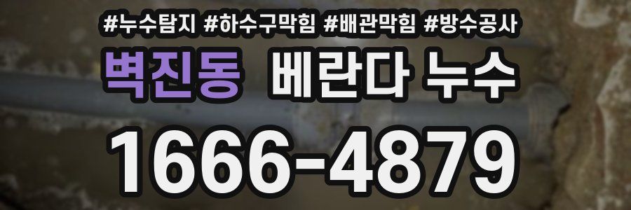 벽진동 베란다 누수