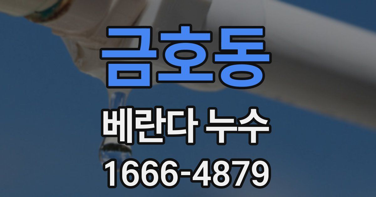 금호동 베란다 누수