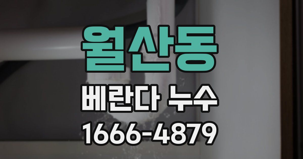 월산동 베란다 누수