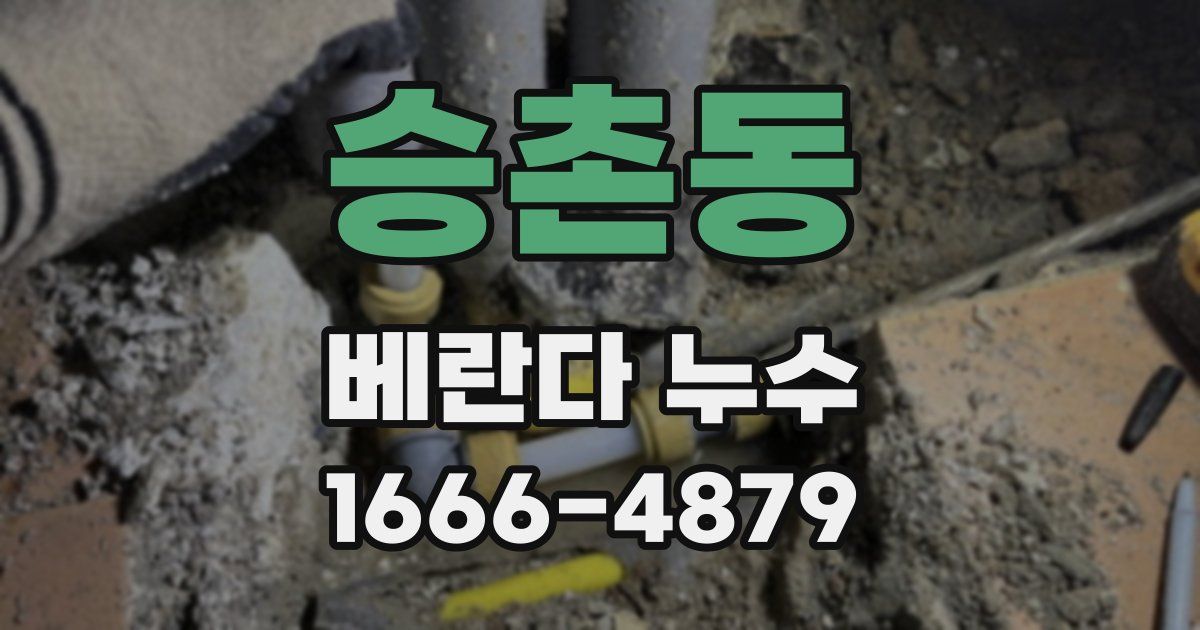 승촌동 베란다 누수