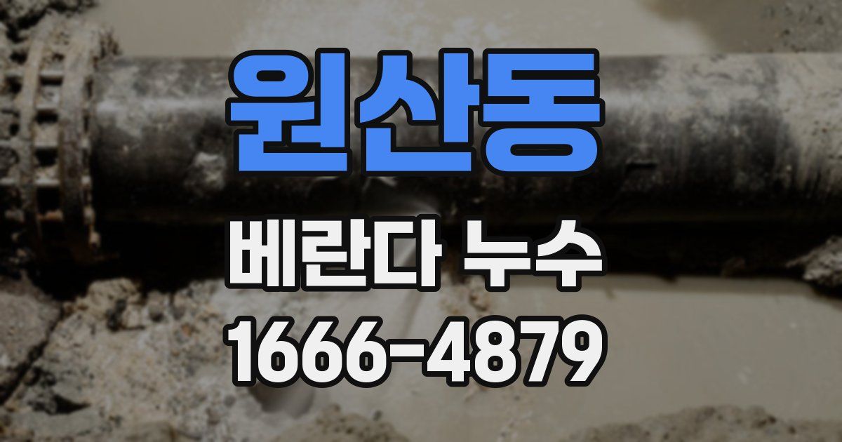원산동 베란다 누수