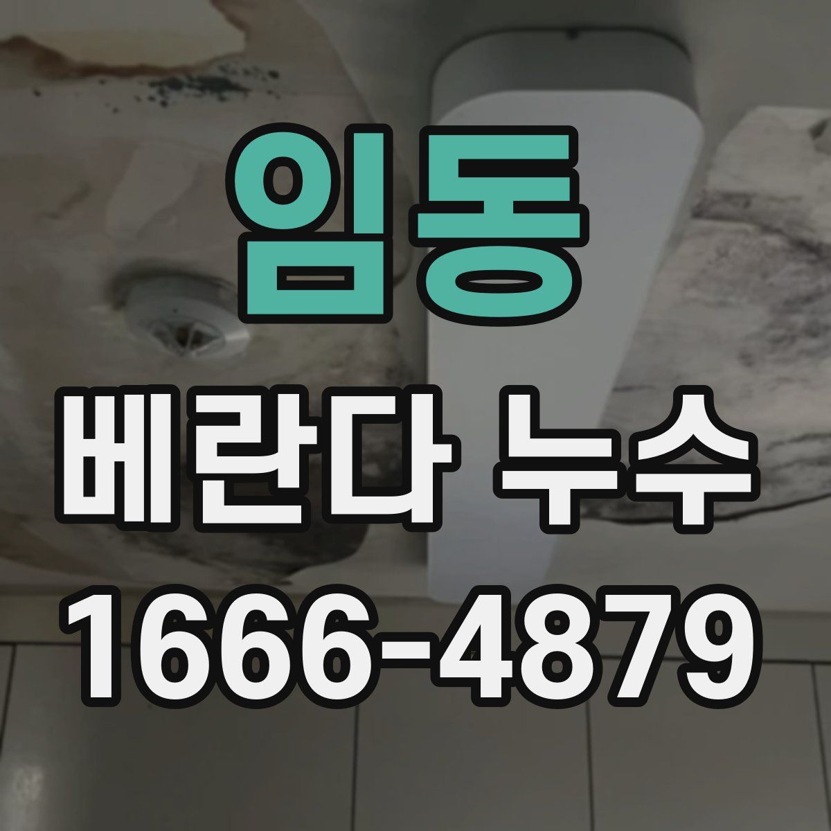 임동 베란다 누수