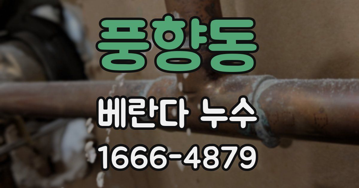 풍향동 베란다 누수