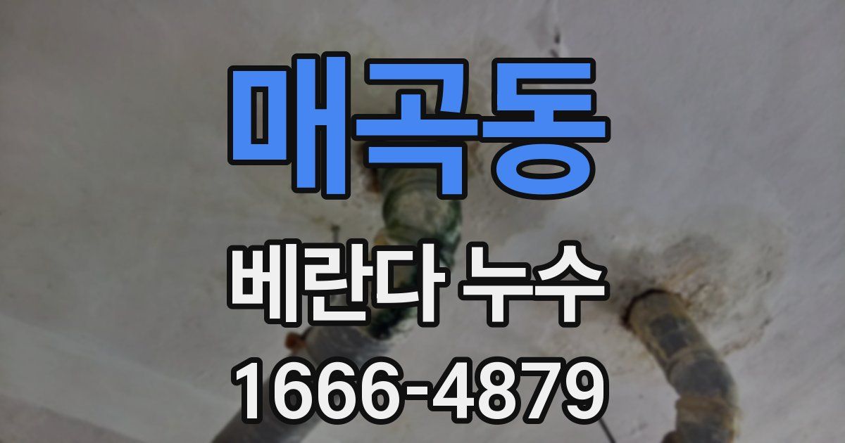 매곡동 베란다 누수