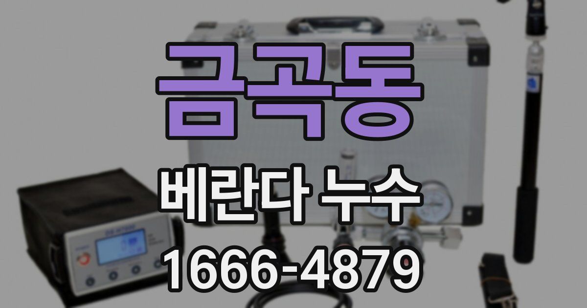 금곡동 베란다 누수