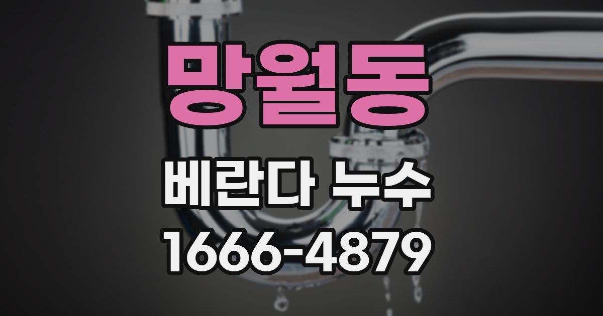 망월동 베란다 누수